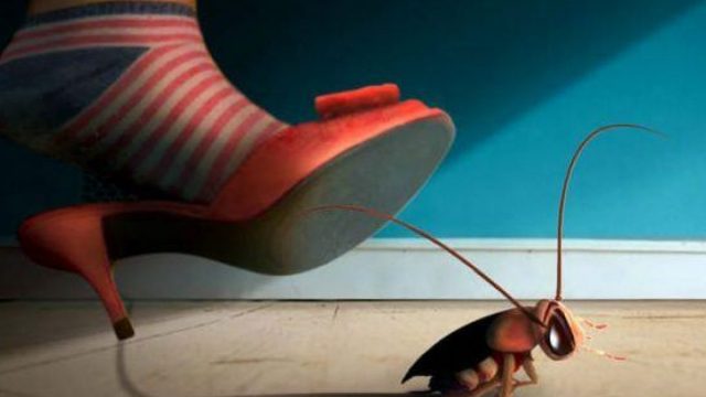 هل تزعجك الصراصير؟ اكتشفي أفضل الوصفات الطبيعية للتخلص منها!