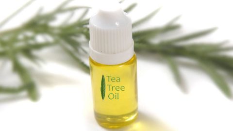 4 طرق لاستعمال زيت شجرة الشاي للتعقيم.. تعرفي عليها