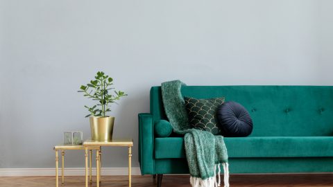 4 نصائح أساسية لتوظيف المخمل في ديكورات المساحات الداخلية