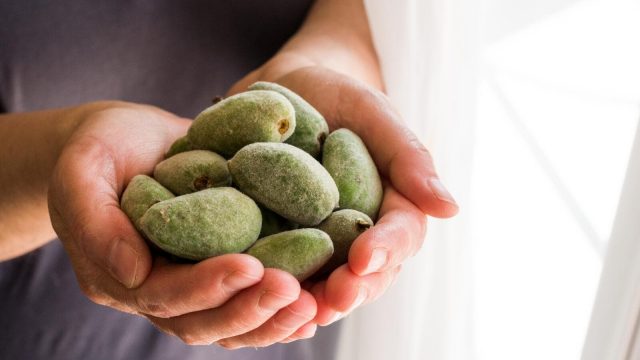 5 فوائد صحية وجمالية لتناول اللوز الأخضر