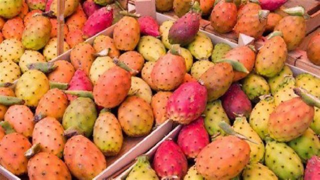 تعرفي على الفوائد الصحية لثمار التين الشوكي