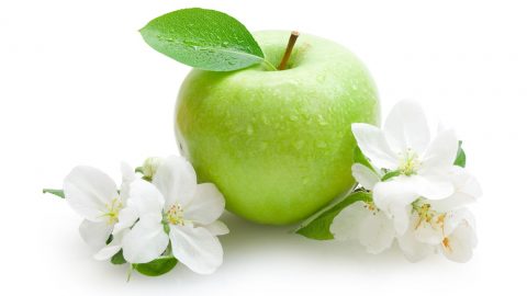 ريجيم التفاح والزبادي لتخسيس 2 كيلوغرام في أسبوع