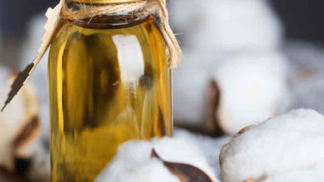 اكتشفي الفوائد جمالية لزيت بذور القطن