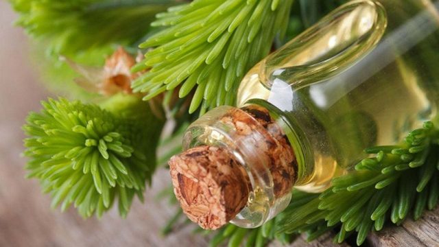 5 استخدامات صحية وجمالية غير مسبوقة لزيت خشب الأرز