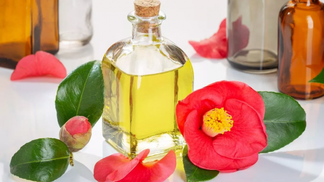 جربي وصفات زيت الكاميليا للعناية بالبشرة الجافة
