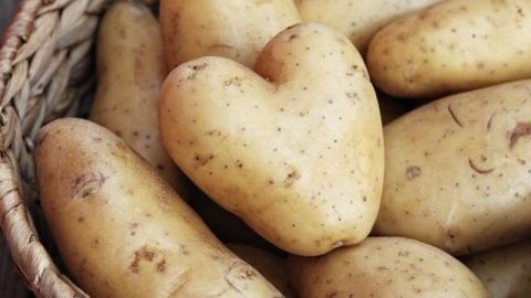 5 أسباب تدفعك لتناول البطاطا ضمن روتينك الغذائي اليومي!