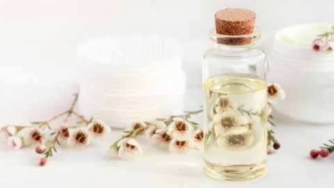 أفضل أنواع الهيدروسول العشبي للشعر الجاف