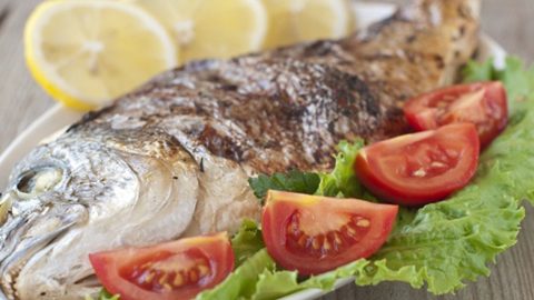 حساسية السمك : الأعراض والأسباب