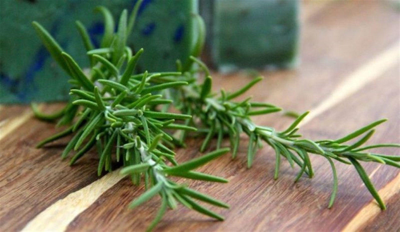 فوائد شاي إكليل الجبل