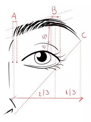 صيحة الحواجب الرفيعة