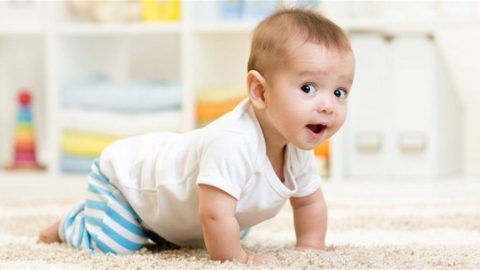 نمو المهارات الحركية الدقيقة عند الطفل من 10 إلى 12 شهرا