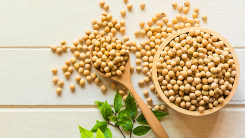 فول الصويا للبشرة ودليلك الشامل للاستخداماتها الجمالية