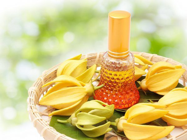 تعطير جسم الحامل