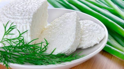 5 فوائد صحية لتناول الجبنة القريش…اكتشفي ماهي؟