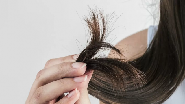 4 نصائح من علامة Schwarzkopf لعلاج أطراف الشعر المقصفة