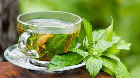 أضرار تناول الكثير من الشاي الأخضر 