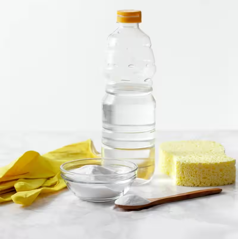 تطهير لانش بوكس الأطفال