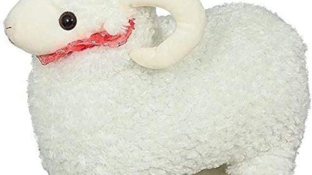 كيف أشرح عيد الأضحى لطفلي؟