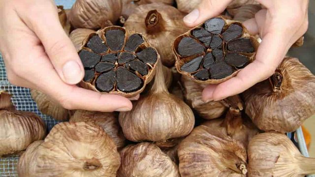 اكتشفي طريقة تناول الثوم الأسود للتنحيف