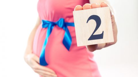 تطورات الجنين في الشهر الثاني من الحمل