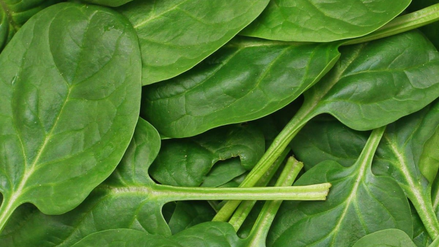 فوائد السبانخ وطرق إضافتها إلى النظام الغذائي