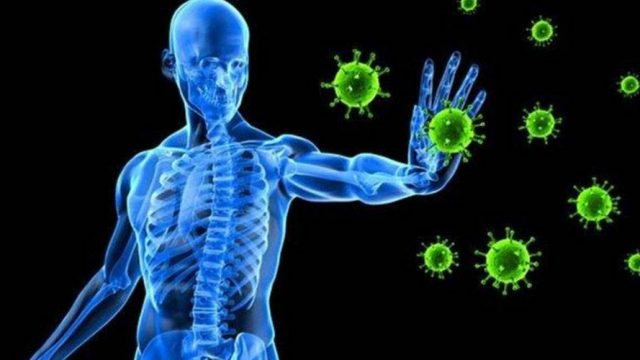 أفضل أطعمة تقوي المناعة في الشتاء