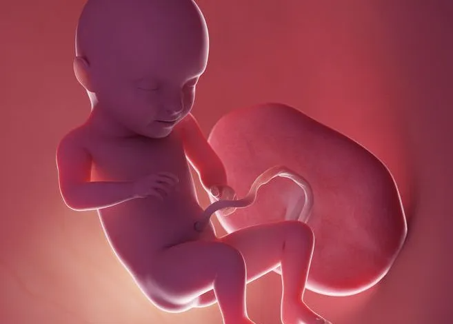 تطورات الجنين في الشهر السابع