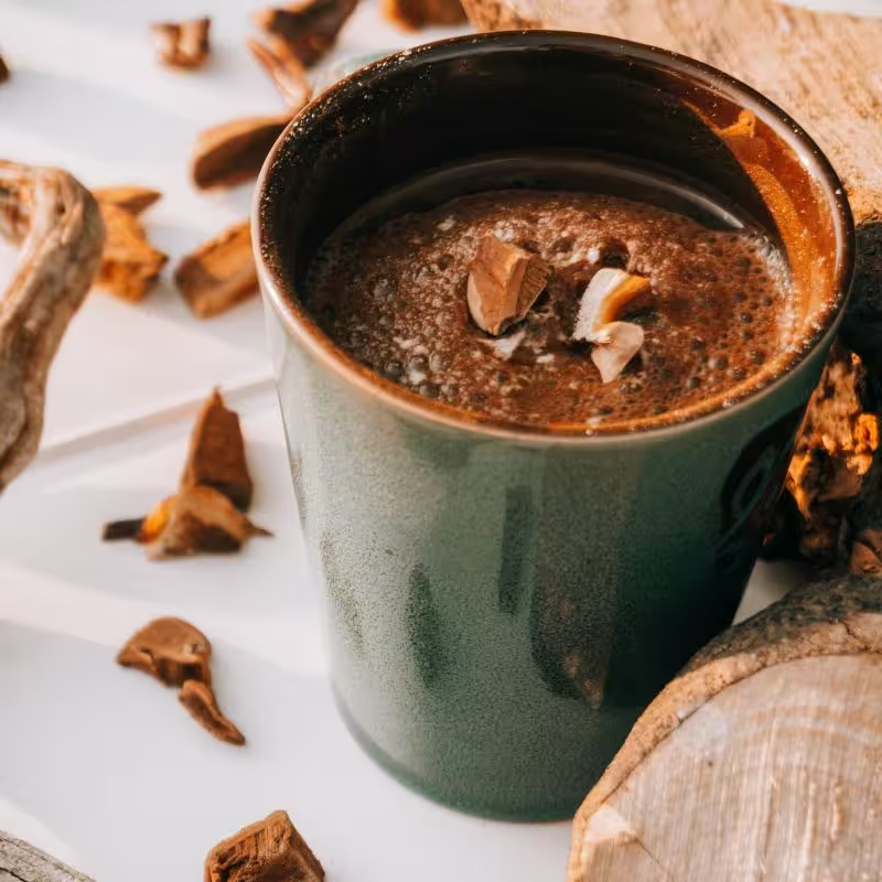 فوائد الفطر الريشي للبشرة