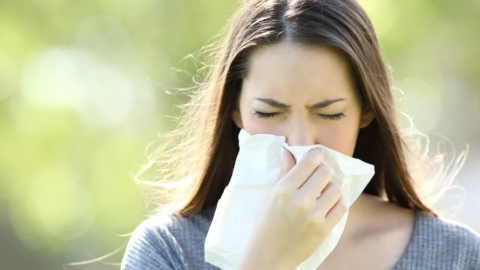 علاجات منزلية للتخفيف من الحساسية الموسمية