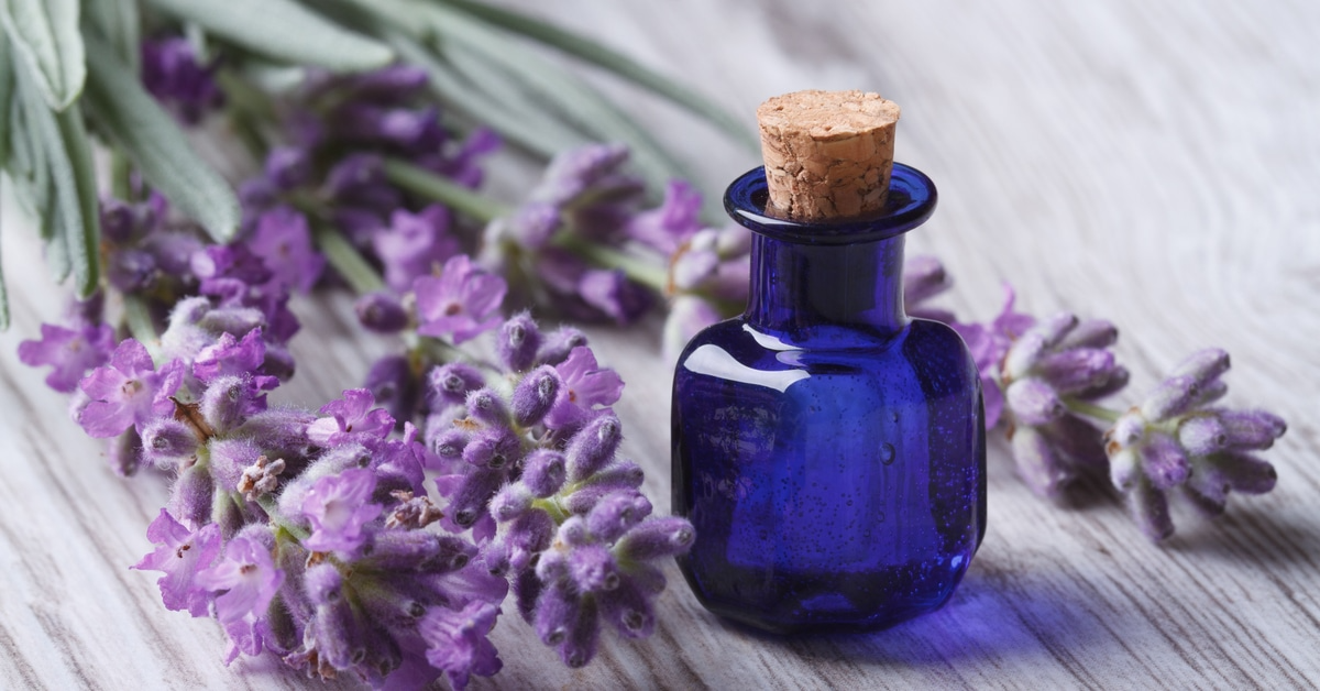 وصفات طبيعية لتهدئة البشرة