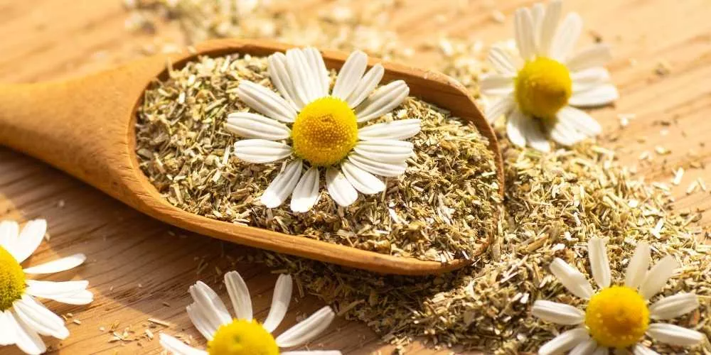 5 علاجات عشبية للنزلة المعوية