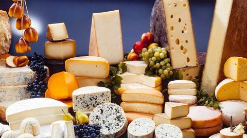 أفضل 6 أنواع أجبان خفيفة للريجيم