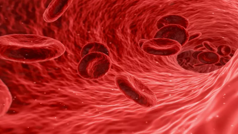 الأنيميا : أسبابها وأفضل طرق العلاج