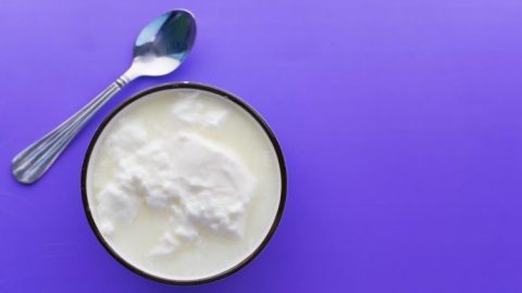 كيفية تجهيز الزبادي في المنزل