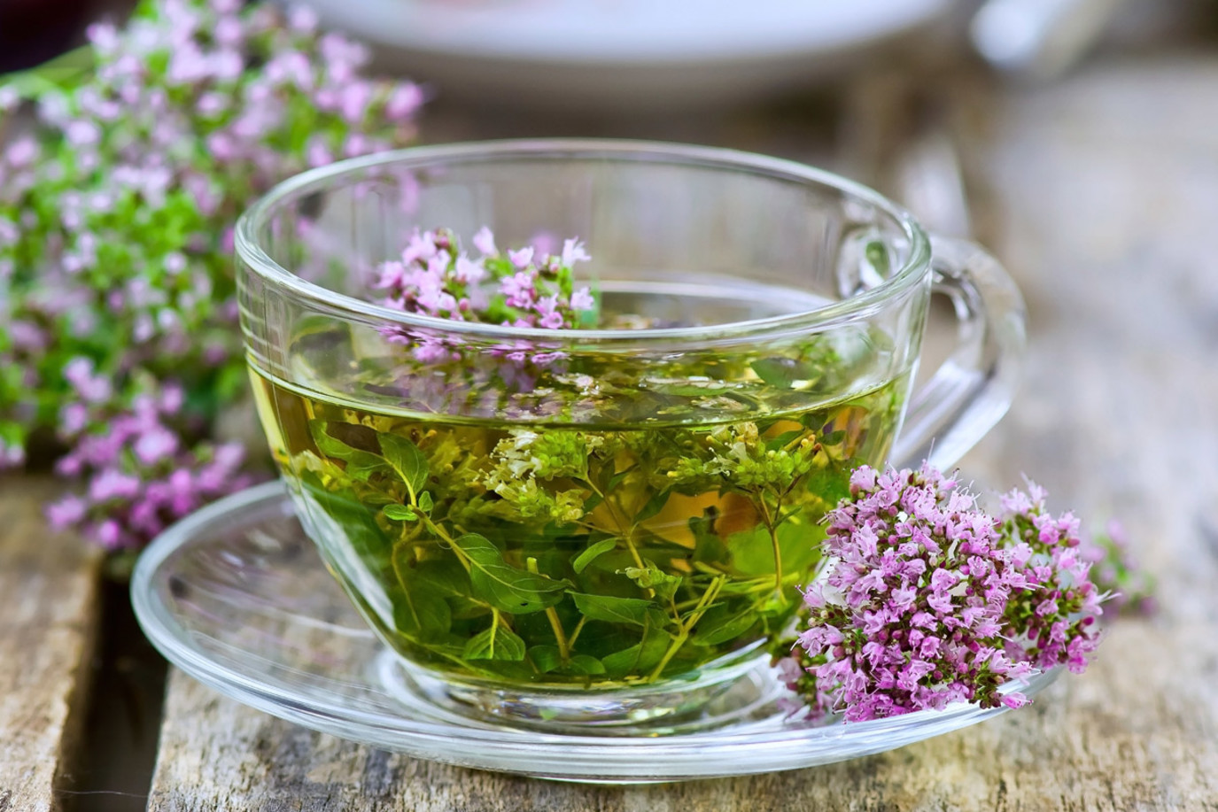 فوائد البردقوش وكيفية استخدامه للحمل