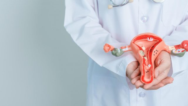 انقطاع الطمث : دليلك الشامل